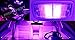 50501242W Purple 2pcs 42mm 211-2 212-2 214-2 578 560 569 DE3175 DE3022 DE3021 12-SMD LED Interior Bulbs for Dome Light