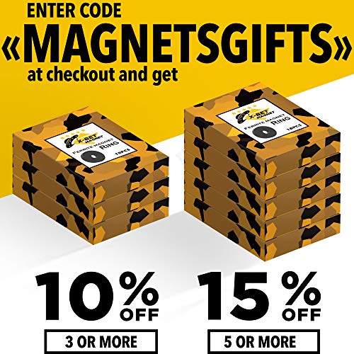 Ferrite Ring with Holes 1.2 Inch (31mm) Round Disc Donut