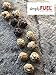 simplyFUEL Whole Food Protein Balls with Probiotics - Peanut Butter Honey Almond Snacks - 8g Protein Snack - Gluten Free Energy Balls