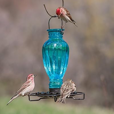 Perky Pet 8136 2 Daisy Vase Vintage Glass Bird Waterer Amazon Com