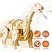 ROBOTIME Mini Apatosaurus 3D Wooden Walking Dinosaur Puzzle Sound Control Toy Gift for Kids