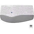 DeLUX Wireless Ergonomic Split Keyboard with Palm Rest Against Carpal Tunnel, Multi-Device Connection, Comfortable Type for R