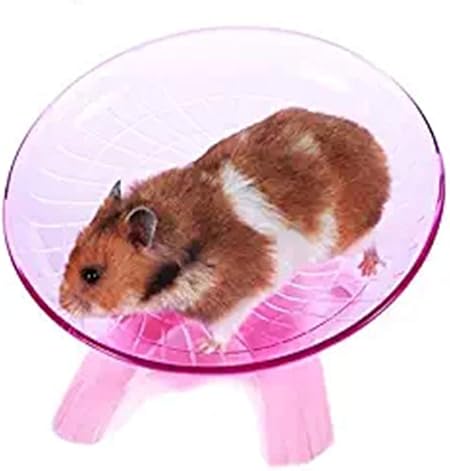 hamster saucer