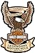 Chroma (9917 Harley-Davidson Eagle Stick Onz Decal
