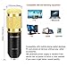 EARAMBLE Professional Studio Broadcasting Recording Condenser Microphone Recording Microphone with Shock Mount (Black)