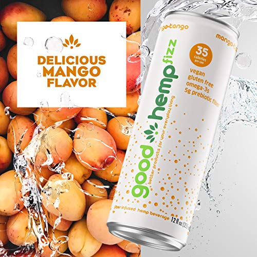 Good Hemp Fizz Low Calorie Carbonated Energy Drink Vegan Preworkout