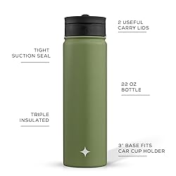 JoyJolt Triple Insulated Water Bottle with Straw