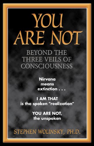 You Are Not Beyond The Three Veils Of Consciousness - 
