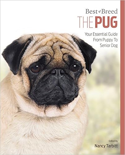 Pug: Best of Breed �y�[�p�[�o�b�N  - 2015/12/1