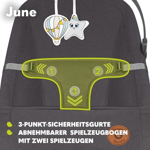 June Babywippe, ab den ersten Lebenstagen bis zu 9kg