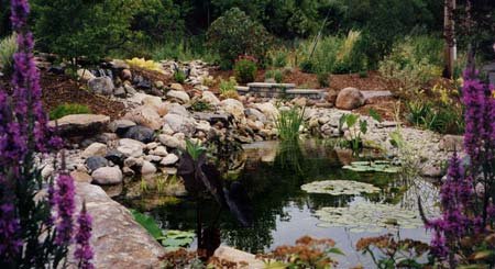 Watergardening How-to-Video - VHS By Aquascape Designs (limited quanities)