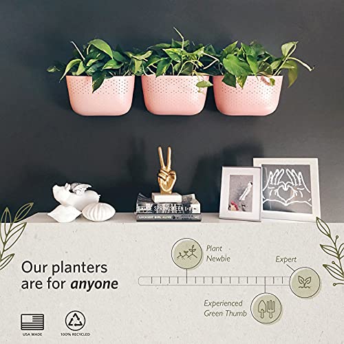 WallyGro Eco Wall Planter, Create a Plant Wall with Hanging Planters