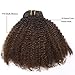 Anrosa Kinkys Curly Clip in Hair Extensions Human Hair 3C 4A Afro Kinky Curly Clip ins Natural Hair Real Remy Thick Human Hair Extensions for Black Women (14 inch, Ombre #1B/4)