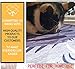 Elohas Cute Cat Feeding Waterproof Non Slip 16 * 24 inch Doormats Rug Carpet for Kitchen,Bath Room,Pet Feeding Blue
