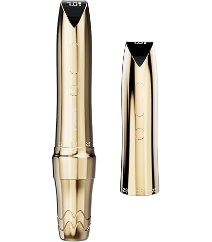 Amazon.com: Mast P60 Tattoo Gun Wireless Tattoo Pen Machine, 5