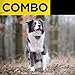 Dogtra COMBO Remote Dog Training Collar 1/2-Mile Range