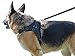 My Pets America Dog Harness for Large, Medium or Small Dogs - Complete Harness & Leash Set; Reflective, Adjustable Harness With Handle. Excellent for Training, Walking, Hiking. No Pull Effect.