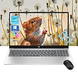 HP Pavilion 15.6" HD Touchscreen Laptop | 8GB RAM