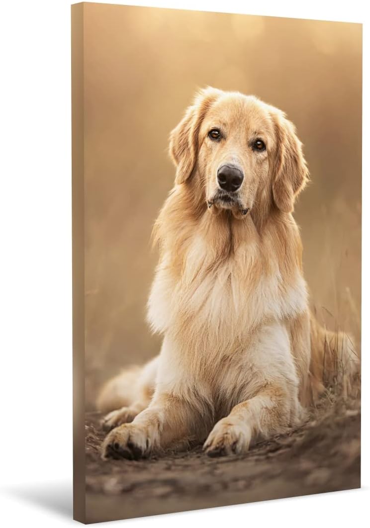 Wall Décor - wallart777 Create Personalized Wall Art with Your Photo on Canvas - Custom Canvas Prints for Wedding - Personalized Canvas Pictures for Wall to Print Framed (24