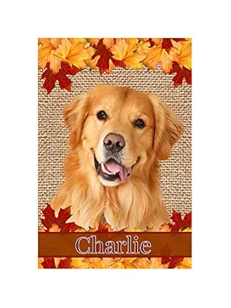Flagology, Golden Retriever Dog Breed Flags, Garden Flag – 12.5”x 18”, House Flag - 28