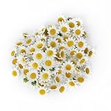 100Pcs Artificial Flowers Wholesale Fake Flowers Heads Gerbera Daisy Silk Flower Heads Sunflowers Sun Flower Heads for Wedding Party Flowers Decorations Home D¨¦cor White