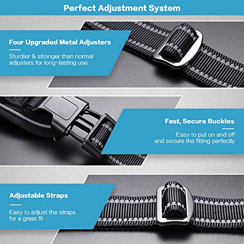 rabbitgoo NoPull Dog Harness Leash Set Heavy Duty Halter Harness with Leash for Large Dogs