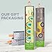Oopsy Daisy Growth Charts Woodland Creatures by Jenn Ski, 12 by 42-Inch