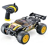GPTOYS RC Cars High Speed Remote Control Car - 1/24 Scale 4WD Hobby Off Road RC Trucks Racing Toy Car for Adults and Kids