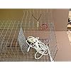 Maryland-Blue-crab-pot-trap-Chesapeake-Atlantic-blue-crab-Heavy-Duty Maryland-Blue-crab-pot-trap-Chesapeake-Atlantic-blue-crab-Heavy-Duty