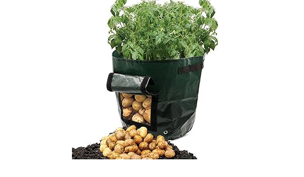 Wuyue Hua 2 Bolsas de Cultivo de Patata, Impermeables, de ...