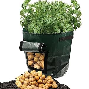 Wuyue Hua 2 Bolsas de Cultivo de Patata, Impermeables, de ...