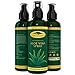 Aloe Vera Plant Juice Spray - Pure Raw Plant Gel, Soothing Moisturizer Relief for Sunburn, Eczema, Razor Bump, Acne & Dry, Damaged Aging Skin - Add To Lotion, Shampoo & Cream (16 oz)