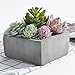 MyGift Assorted Colorful Artificial Succulents in Grey Cement Pot, Fake Plants for Bedroom Aesthetic