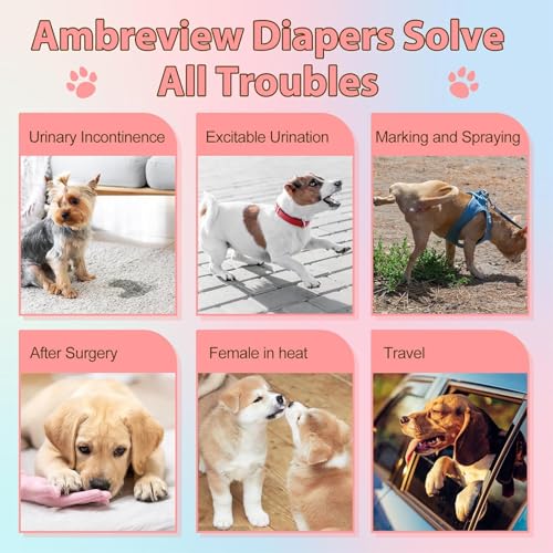 LBOYLOVE® Dog Diapers Female, 10 PCS Strong Absorbency Leak Proof Doggie Diapers for Female Dog, Just Pull It Up, for Dogs in Heat, Elderly, Disabled, Pup (S)