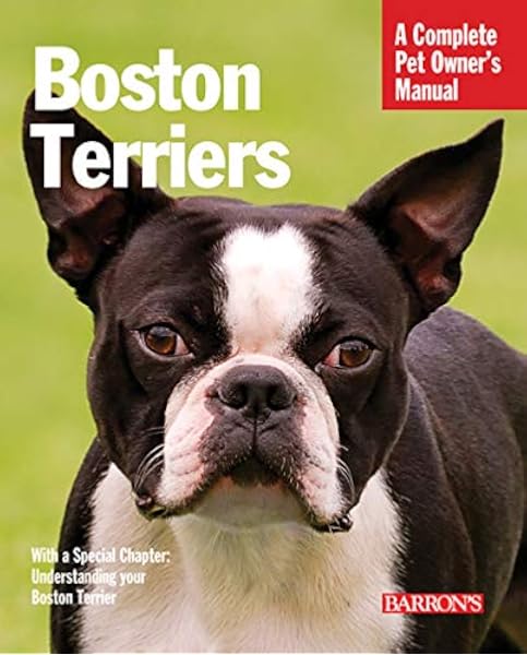 tara's boston terriers