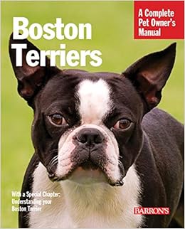 amazon boston terrier