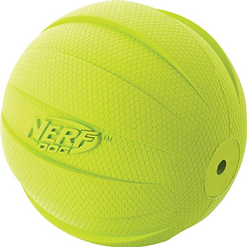 Nerf Dog Squeak Rubbber Ball Dog Toy, Medium/Large, Green