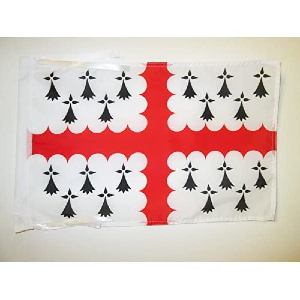 AZ FLAG - Count of Vannes Flag - 18'' x 12'' - 100% Polyester County of Vannes - Brittany Small Banner with Two Cords - Fade Resistant - Vivid Colors - 18x12 in - 45x30 Cm