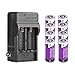 Zeasun 8 Pack 3.7V 700mAh 16340 CR123A Rechargeable Li-Ion Battery With Dual Channel 16340 Battery Charger