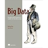 Big Data: Principles and best practices of scalable realtime data systems