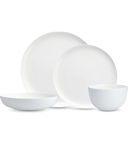 Amazon.com | Eater x Zwiesel Fortessa Foss Stoneware, 12 Piece
