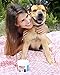 Rocky - Probiotics for Dogs, Prebiotics and Digestive Enzymes for Diarrhea, Gas and Stomach Relief. Complete Nutritional Supplement, Fights Bad Gut Bacteria - 200 grams.
