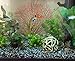 Lesypet Silicone Sea Anemone Aquarium Artificial Ornaments,Black