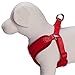 Blueberry Pet 4 Colors Better Basic Dog Harness Vest, Rouge Red, Chest Girth 17