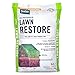 Safer Brand 9334 Lawn Restore Fertilizer – 25 lb