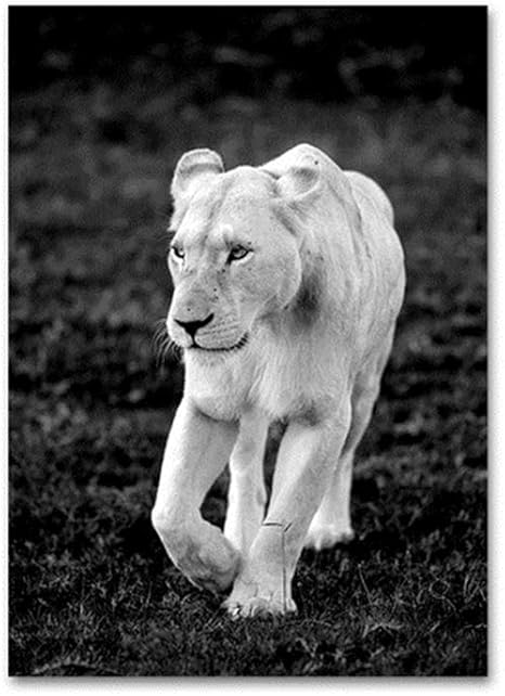 Amazon ポスター Xggzs 黒と白のアフリカ野生動物ライオンヒョウの壁画リビングルームの家の装飾のための 60x90cm フレームなし A アートフレーム ポスター オンライン通販