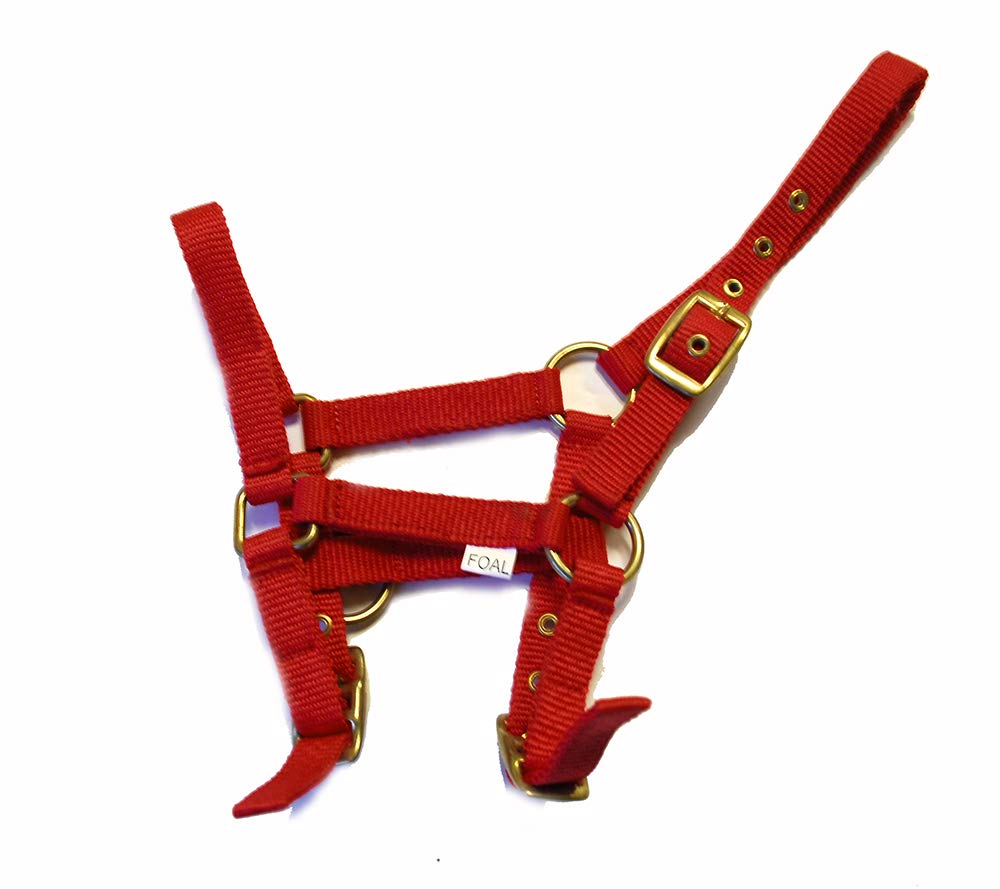 Rhinegold Nylon Foal Headcollar - Red