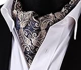 SetSense Men's Paisley Jacquard Woven Self Cravat Tie Ascot