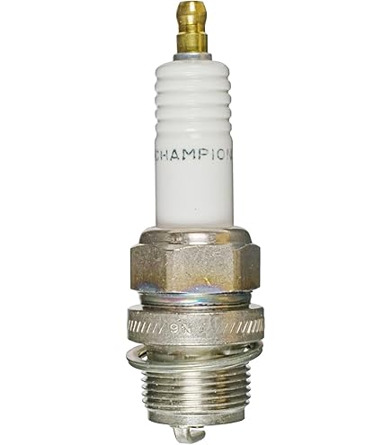 Amazon.com: Champion Indust. / Agri Plugs 518 (W18) Pack of