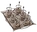 Turkish Tea Set for 6 - Glasses with Holders Tray & Spoons,7Oz (Silver)